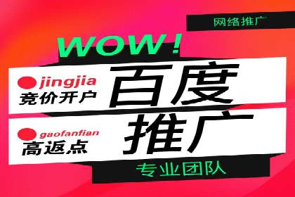 网络推广竞价实战案例分享